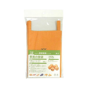 4933702101026 F{X ʎ܂т K|1 50}CC