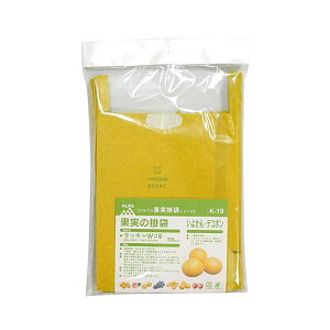 4933702101187 F{X ʎ܂悩EfR| K|19 50}CC