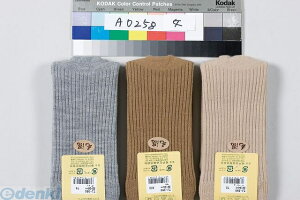 4971751440284 ׂ~߂  2 ~O[