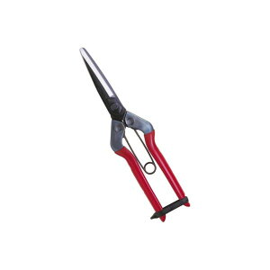 ߐ 4967645011609  ےn T|700 BP