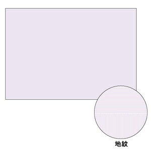 qTS BP2111 A3Rs[ʗpy100z