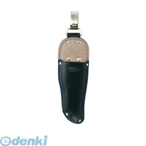 vX^[ PROSTAR BLG-02 P[X Jt BLG02