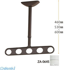 Z ZA-0645-PW zXN[ Vp A[dl sAzCg 2{ ZA0645PW