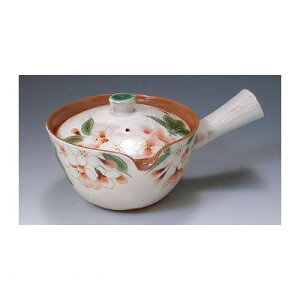 yF1z KTA284  sE[J[s | }{