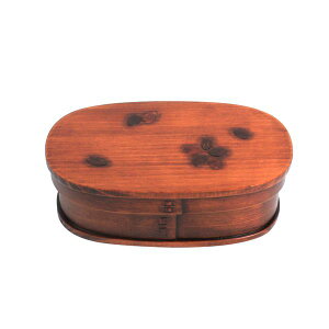 yF1z΍ BDH172DS2T ؐ i ^   ؖ oht Ȃ ٓ