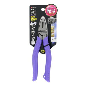 ���V TAKAGI 1100490 �M�X�P �y�ʃy���` GLP�|175