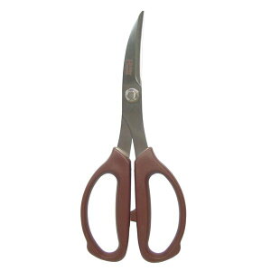 nT~ 4962316008940  v؂͂ 180mm 894