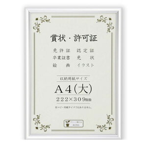  J091-C2571 ܏z I[Cg  A4yz J091C2571