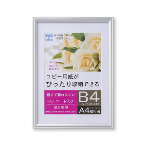  T009-30704 OAz vx Vo[ OPPܓ B4 T00930704