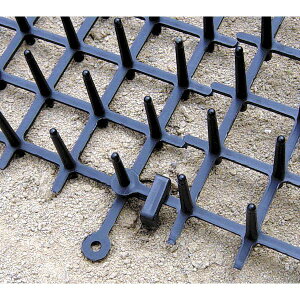 rj[ 4968438010618 _V[g1