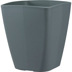 AbvEFA[ 4905980114920 AgGXNGA 250^DG