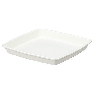 AbvEFA[ 4905980432369 NtgXNGAv[g 30^WH