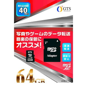 y|Cg2{zyF1zGTS GSMS064PAD }CNSDJ[h 64GB