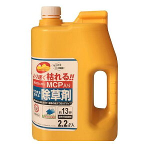 [LY F061 GR o^MCPyLZsz