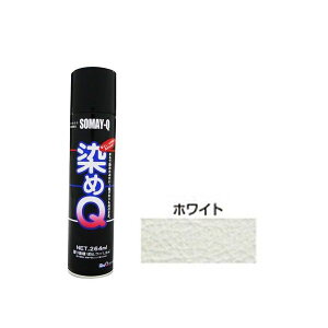 QeNmWB 4580154050046 Q GA][ zCg 264ML