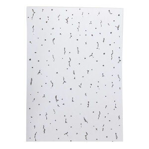 aCY 4903757319424 VV[ Wvg[pA4