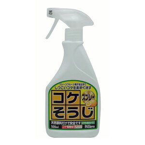 pltH 4571102553443 VRRP쏜 RP Xv[ 500ml