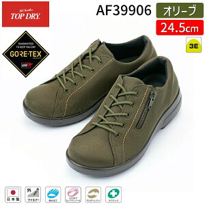 ATqV[Y gbvhC TDY3990 I[u 24.5cm SAebNX h fB[X Xj[J[ ̐`C\[ŉKtBbg t@Xi[tŒEȒP ɂꃉo[ 