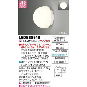 o ŃCebN TOSHIBA LEDB88919 LED vʔ