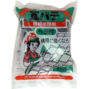 ƒ뉻w 4905488501048 pe@@eʁF500g