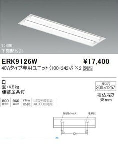 Ɩ ERK9126W ^ʊJW300^40W^2