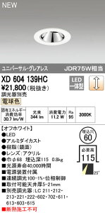 �I�[�f���b�N ODELIC XD604139HC LED�_�E�����C�g