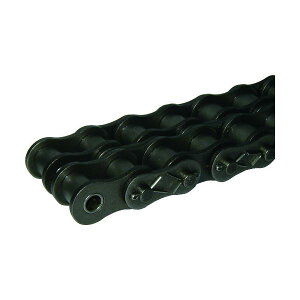 �y���[�݌ɕi�z�u�����v�J�^���} 80-2CP120L KCM ���[���`�F�[��80�|2CP802CP 802CP120L �ЎR�`�G�� KATAYAMA 4560125570179