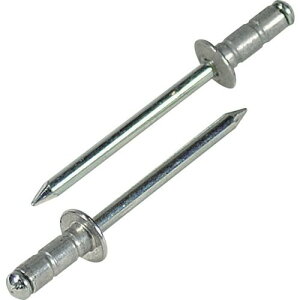 y[݌ɕizuvuebNX LOBSTER AP 5-4 APxbg A~jE^XeB[ 5|4 1000{  AP54 APAPxbg A~jE^XeB[ 5|4 1000{  Gr  tr-7507810