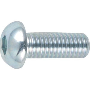 �y���[�݌ɕi�z�u�����v�g���X�R���R TRUSCO B774-0620 �Z�p���t�{�^���{���g �O���� �S�l�W M6×20 19�{�� B7740620 300-3060 �S�l�W M6X20 �T�C�YM6X20