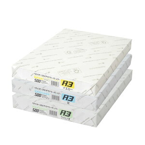 【A3・全10色】プラス/ダイオーマルチカラー コピー用紙 A3 (CW-640C・86-4) 500枚入 カラーペーパー PLUS