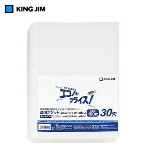 �yA4�^�e�^�E100������z�L���O�W���^�����|�P�b�g �G�R�m�~�[�^�C�v�@A4�^�e�^�@30�� �i103EPP-100 �jKING JIM