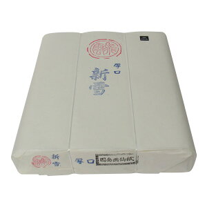 ؁@历@V@()=100i1218301jB@؍ރpv@@B@ǂ^MǍDȊpKp@pi