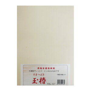 100@ [ʒ] P=100 K`pi5211801jiɎgA݂⏭Ȃ荗