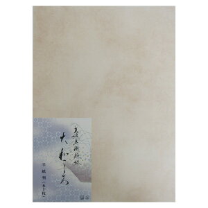 @@a@ =50i521C490jipɎg荗@׎@ȗ