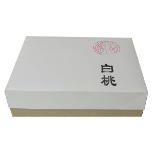  [] =1000 Kpi521C561jw@wZ̏K̎Ƃ⏑ł̎gpɍœK