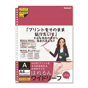 iJoV^WJE͂񃏃Ch[tA4Ch30E50^AriLL-A404WAjKivg؂炸ɓ\傫߃TCY@wZ̐搶ɂ߁@Nakabayashi