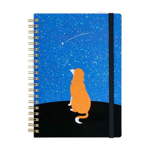 LOW^HITOTOKI qggLm[g R~bNTCY O^CviHN-CR01^HN-CR02j|PbgA~t