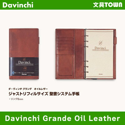 【送料無料】Davinciダヴィンチオイルレザー聖書システム手帳JDB103ダ・ヴィンチグランデ(リング8mm)【smtb-kd】レイメイ藤井