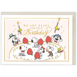 ���{�z�[���}�[�N�@�o�[�X�f�B�J�[�h�@�X�k�[�s�[�P�[�L�̏��