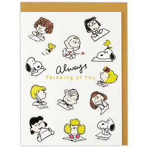 ���{�z�[���}�[�N�@���ړI�J�[�h�@�X�k�[�s�[ �����Ȋ�