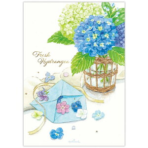 {z[}[N@ĕ^[pbh@AWTC̕ւ