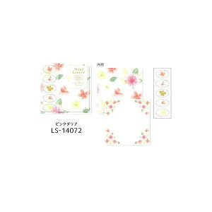 N[Ys@XNGA~j^[Zbg@naminamiV[Y