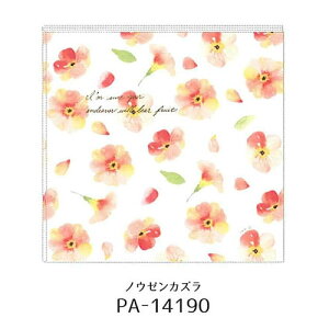 N[Ys@XNGAAo@naminamiV[Y