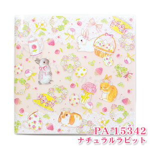 N[Ys@XNGAAo@݂@i`rbg