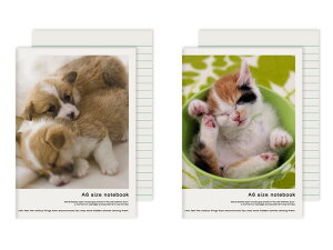 GviL[rbNXj@tHgEZ@A6m[g