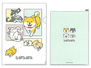 }ChEFCu@A4NAt@C@@΂΂/ĂĂ