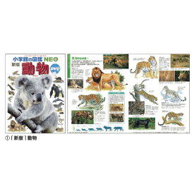 小学館の図鑑NEO　(5)新版・魚【小学館】