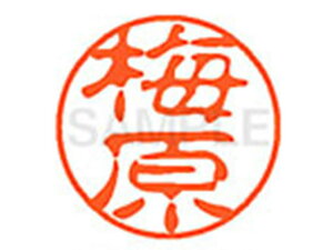 y񂹁zV`n^ XL-11(~) XL1100398