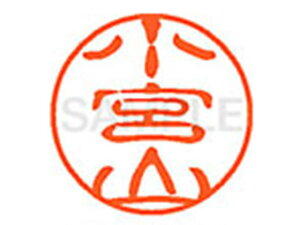 y񂹁zV`n^ XL-11({R) XL1101093