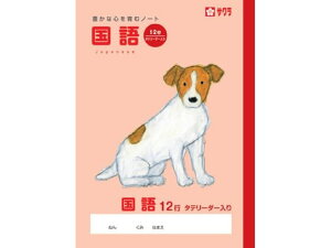 y񂹁zTNNpX wK  12sR NP28